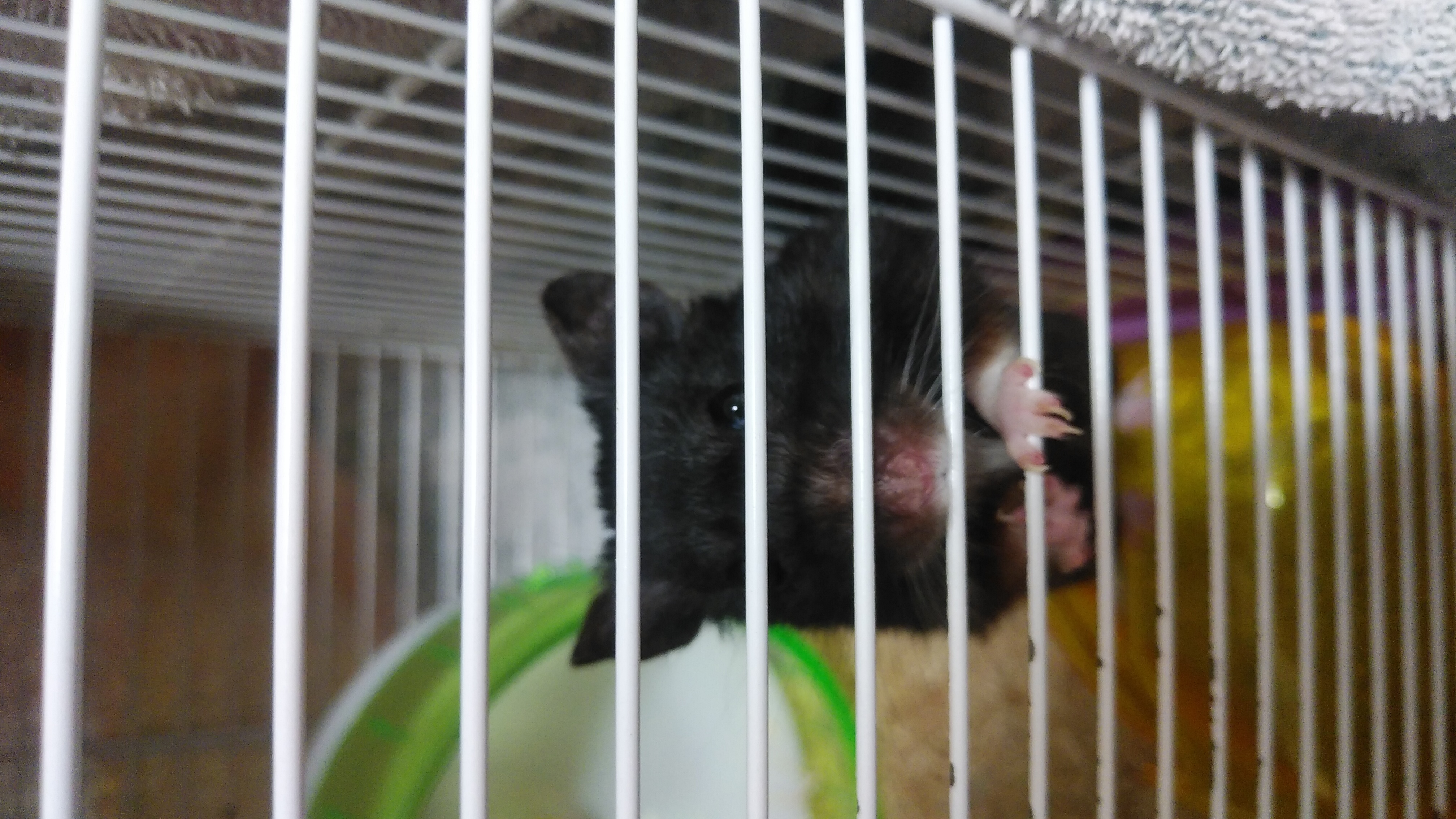 確定申告作業中2