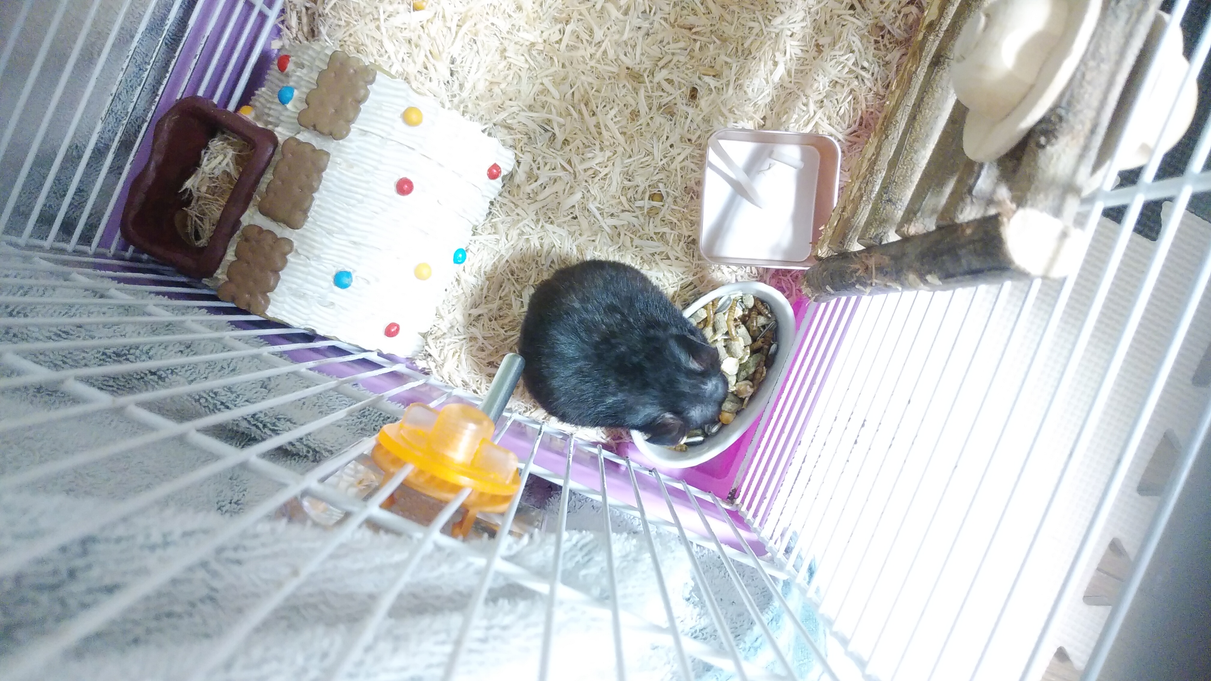 新しい座椅子が届いた