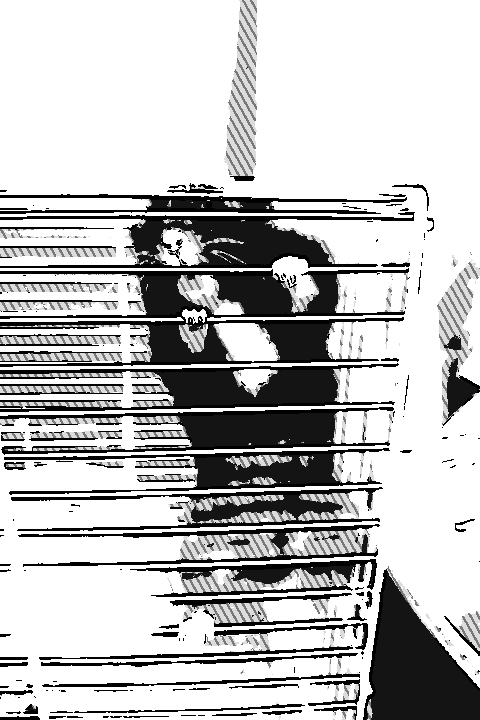 さっきの収録のお口直しのつもりが