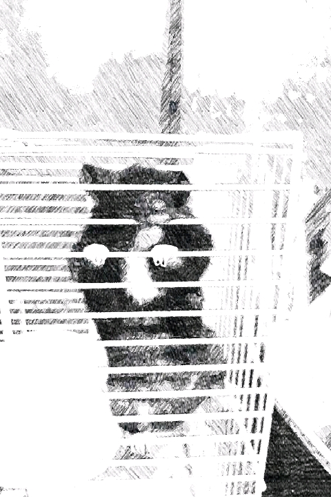 バーガー食べたい＆自分の口癖について