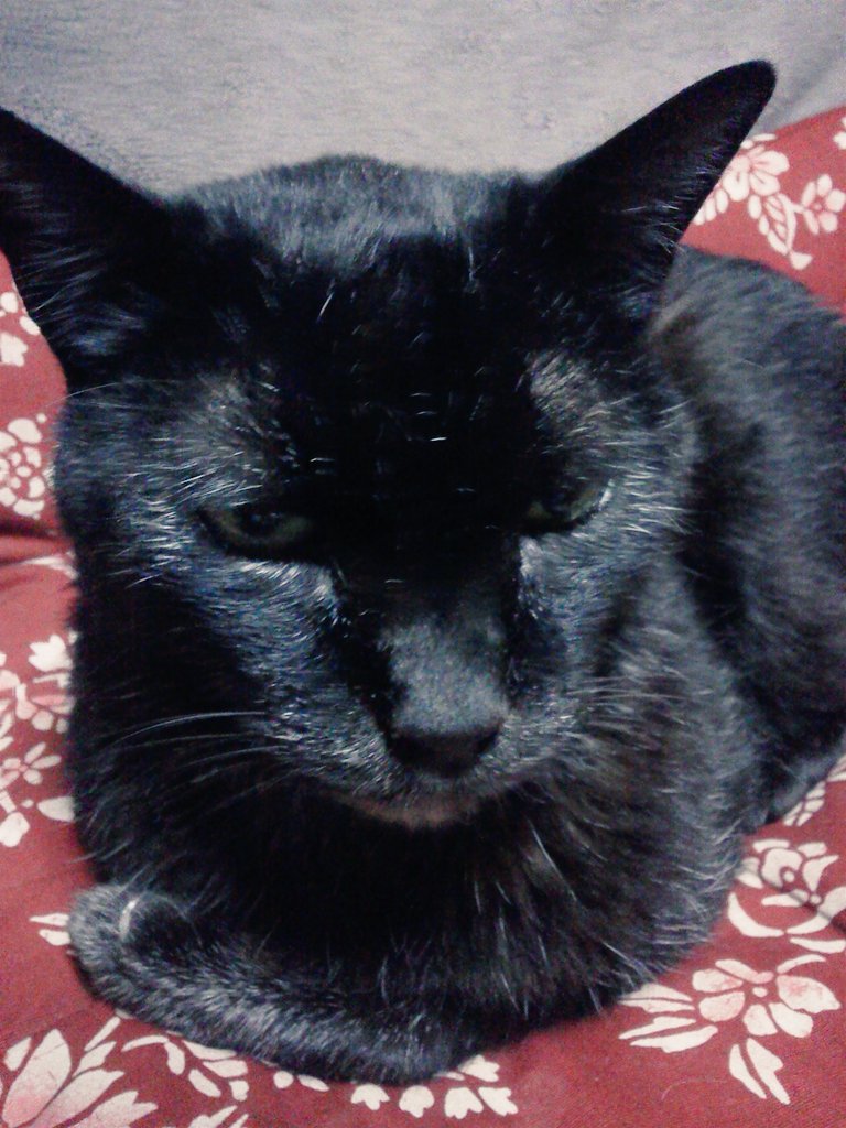 遊戯王二次創作の話