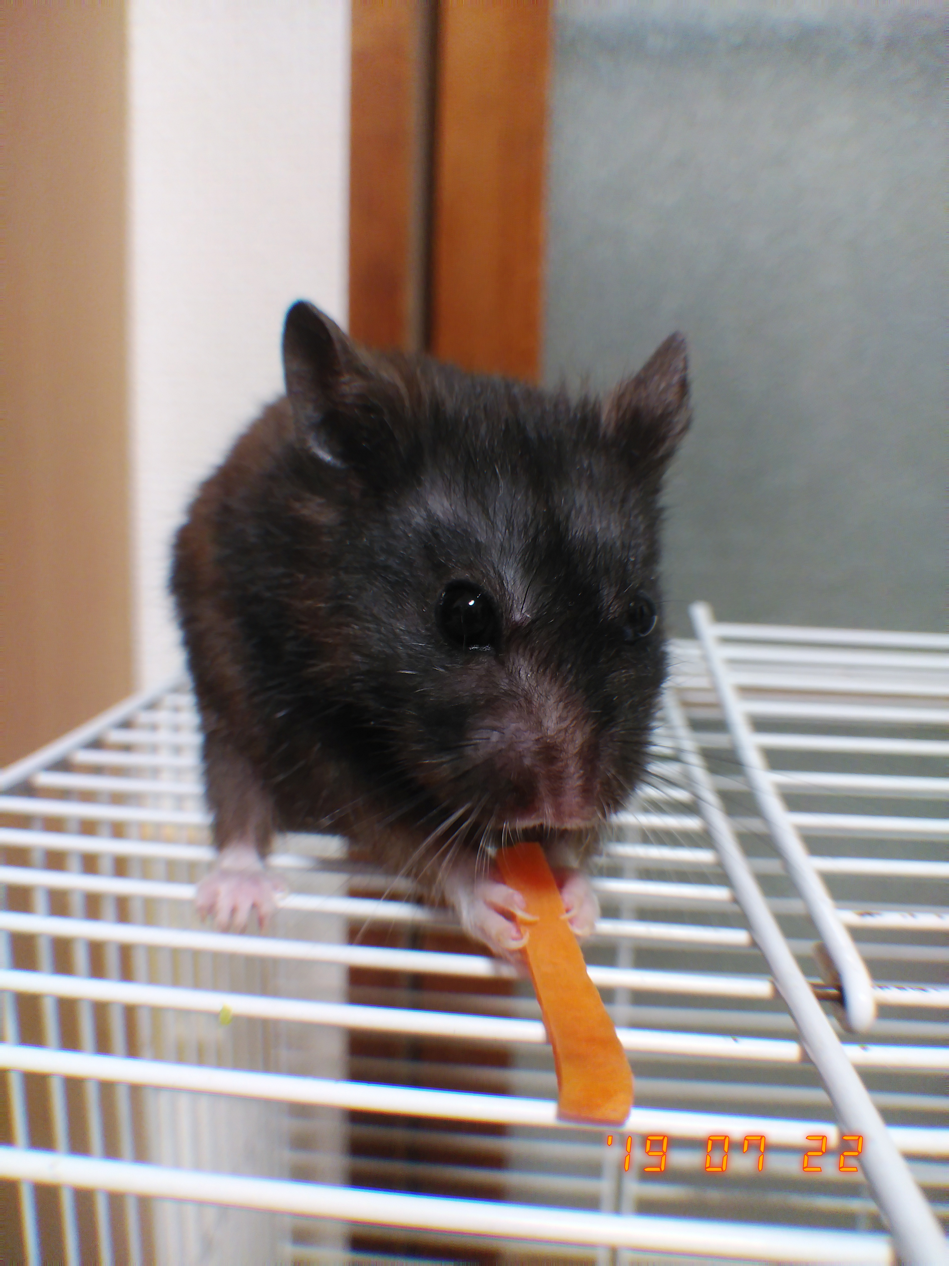 GR二次創作語り