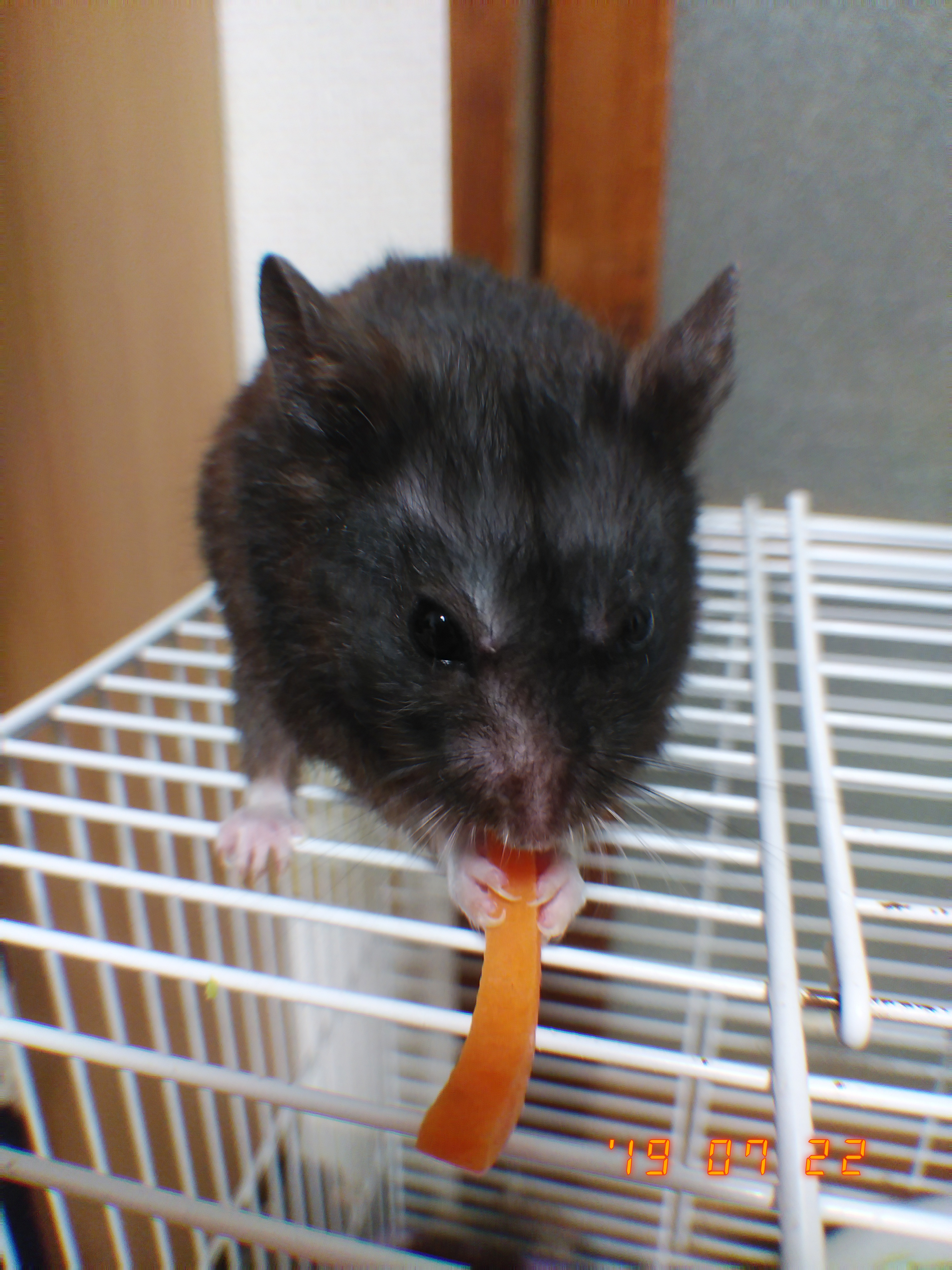 毒ピル連続殺人事件