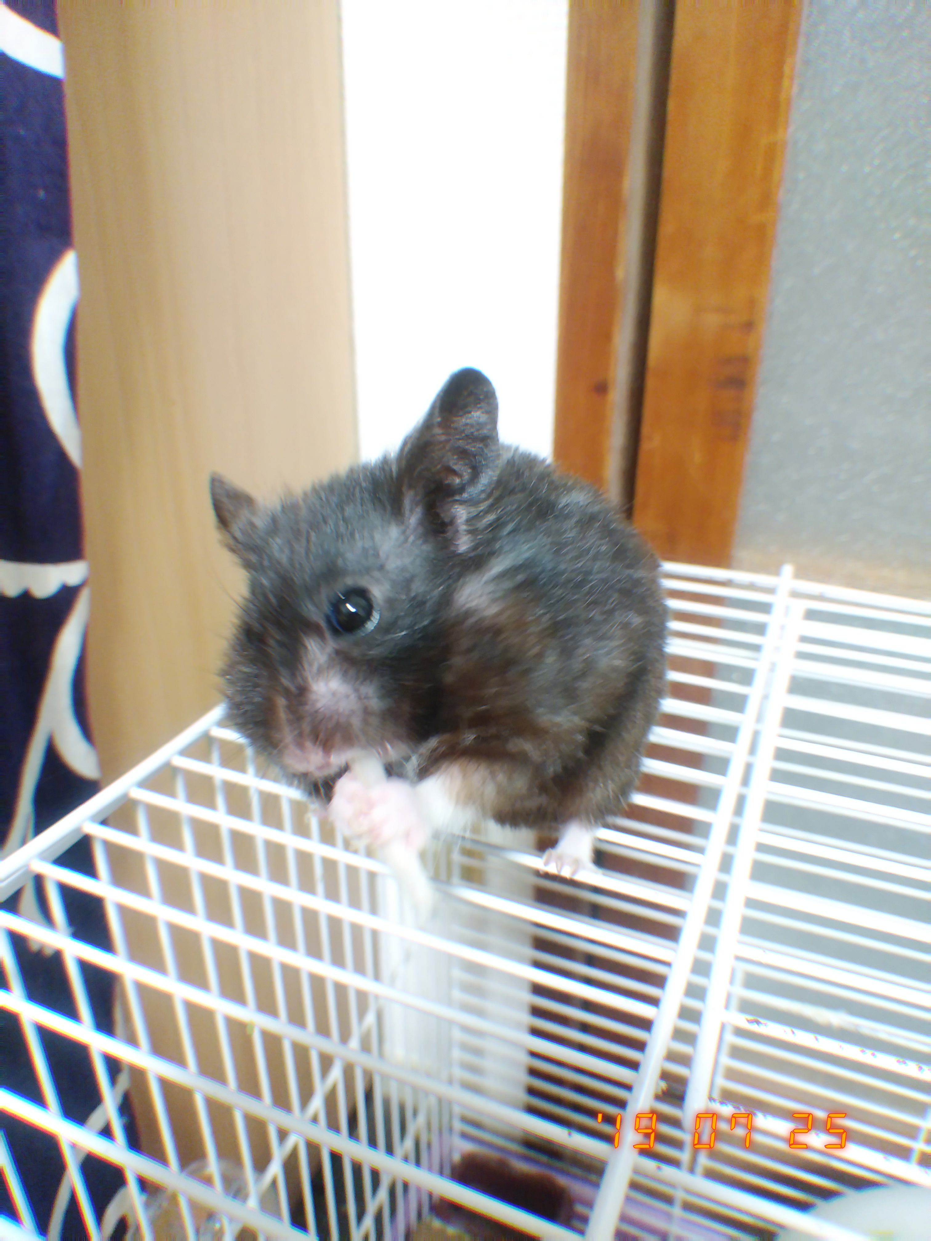 寝る前のぐだぐだ喋り