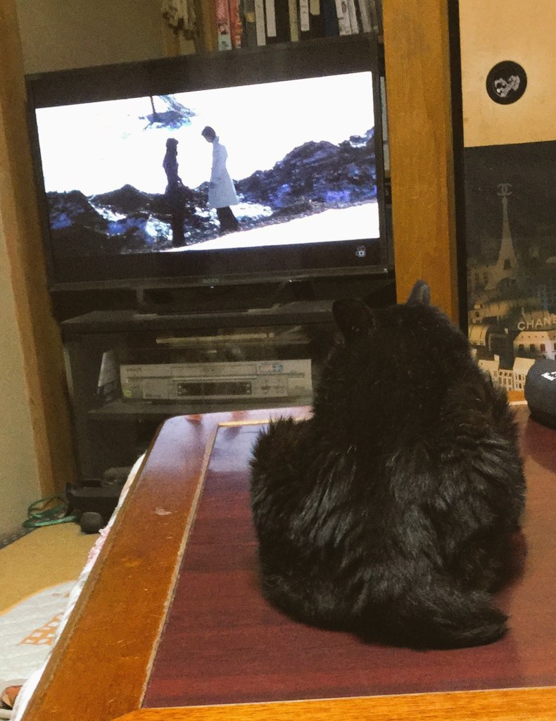 弱虫ペダの話続き