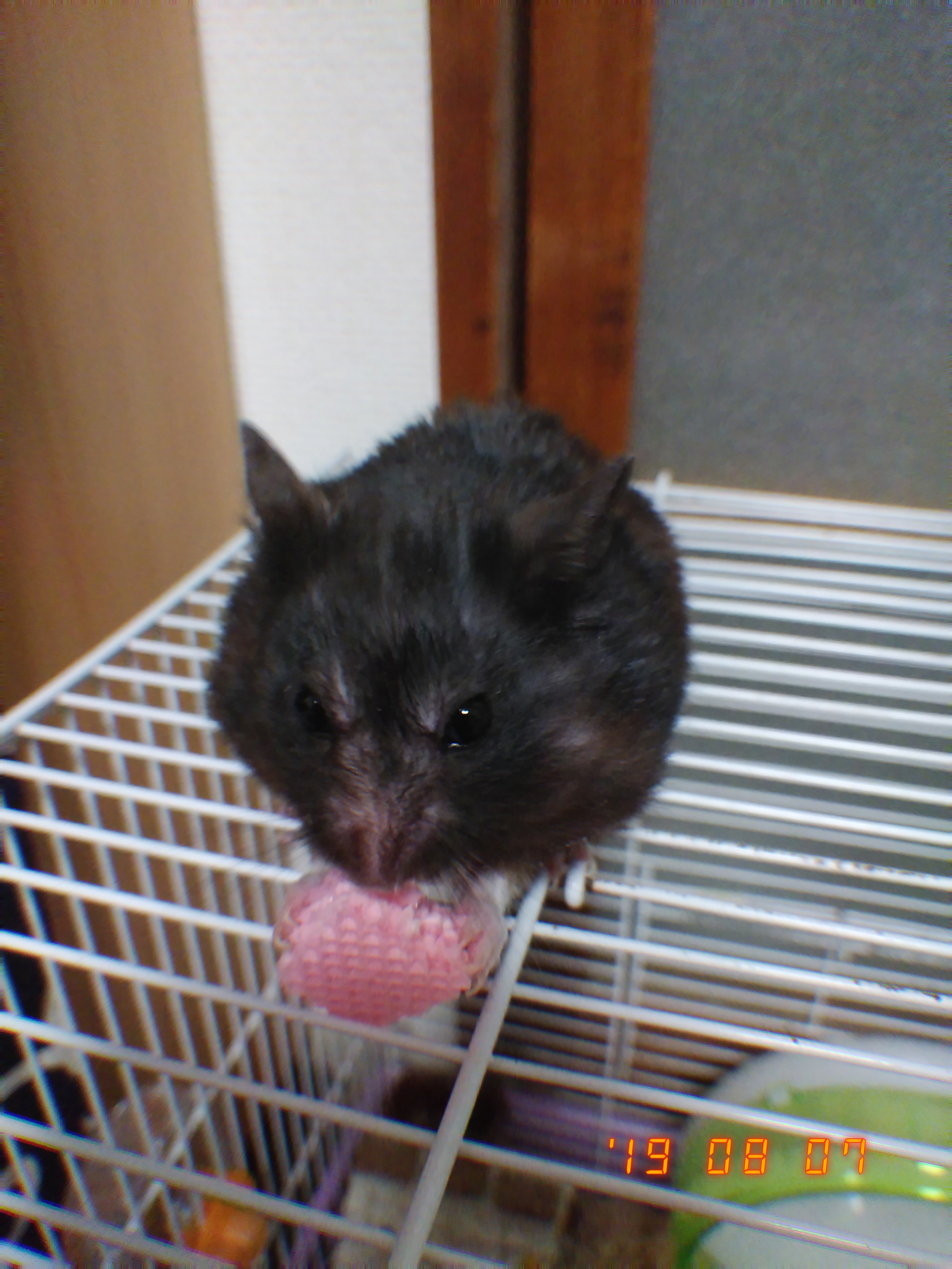 お題ガチャ雑談3