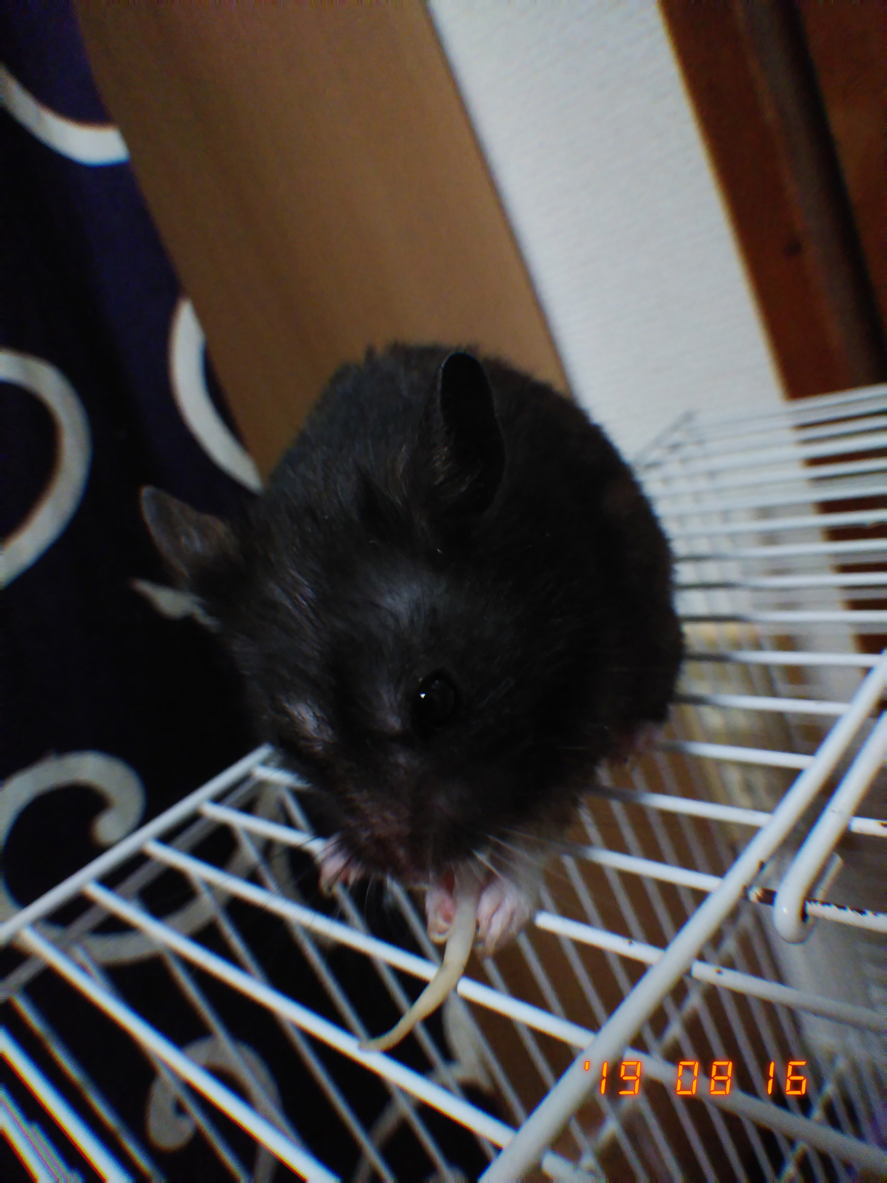 へたっぴ化粧研究所練習2