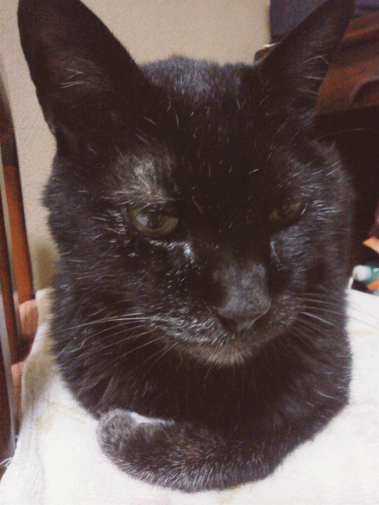 脱水症だったよ～