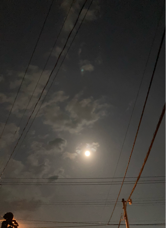 #108 全てを消しまくる妻