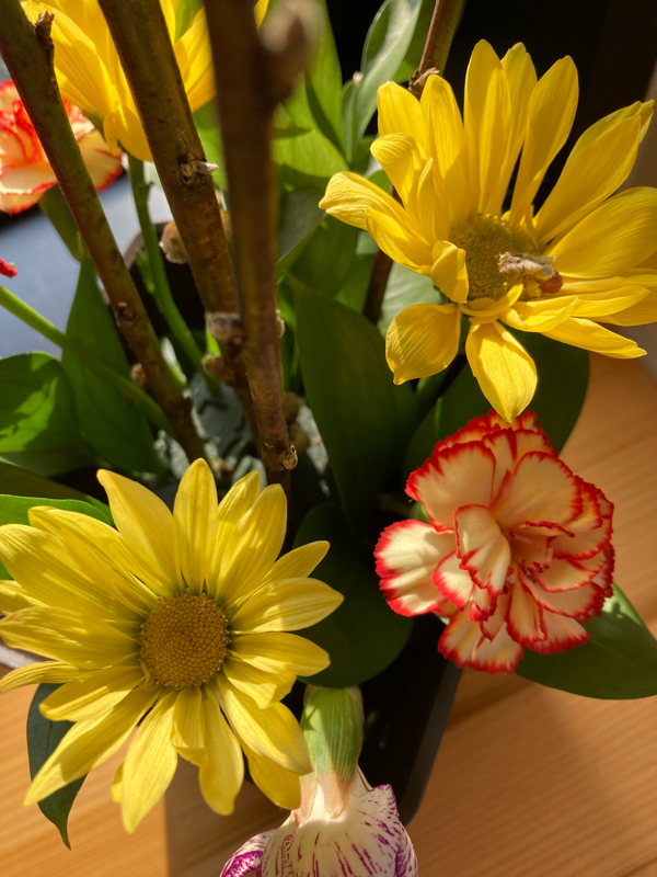 #136 竹内まりやさんの元気を出してを歌う