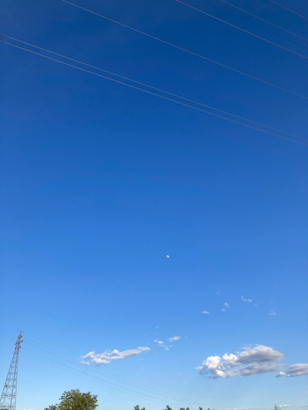 #207 思っていたのと違うはそんなに嫌なことじゃない