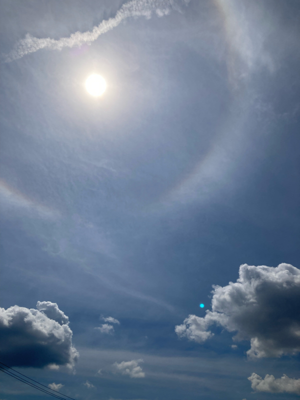 #240 詐欺に遭わないように身辺をキレイにしておく