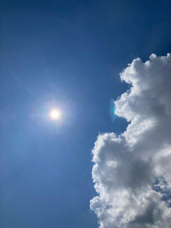 #262 ヤクルトスワローズを応援していた頃の話