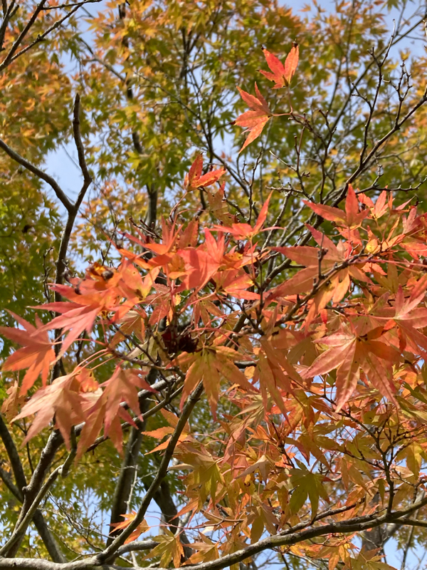 #298 久保田利伸さんのLA・LA・LA LOVE SONGを歌う