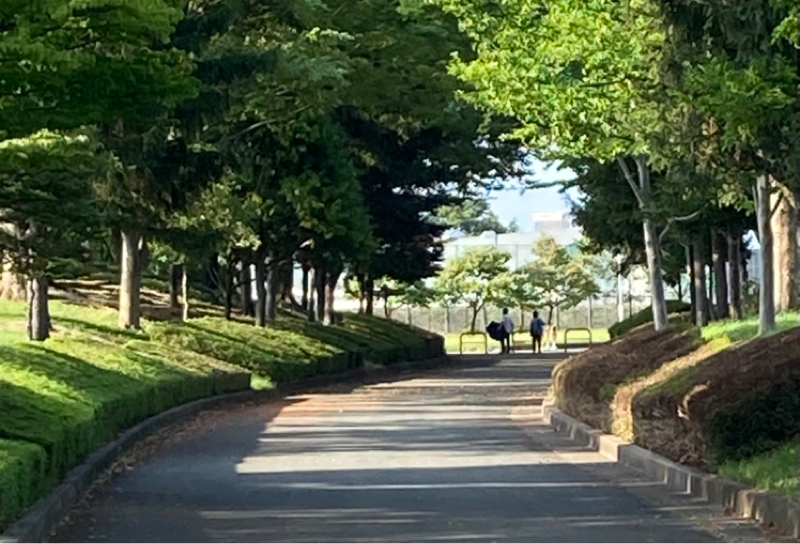 #705 車のことよく知らない奴が中古車なんか買っちゃダメ