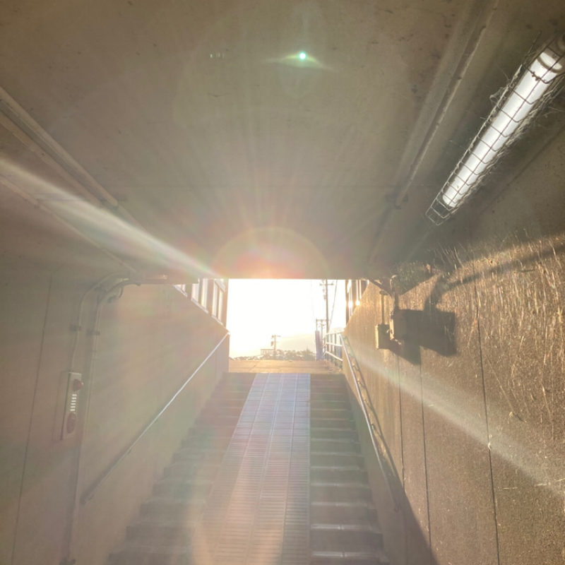 #707 真実を追い求めるなら本一冊じゃ足りない