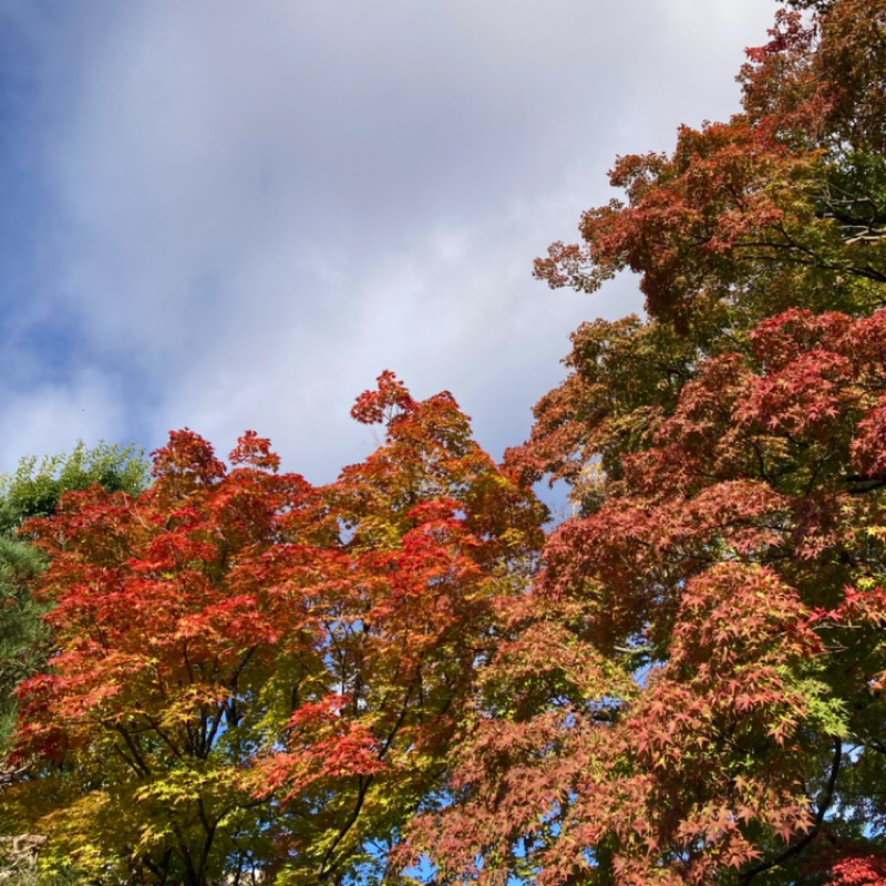 #711 ドラマ北の国からは何ハラスメントなんだという話　告知あります