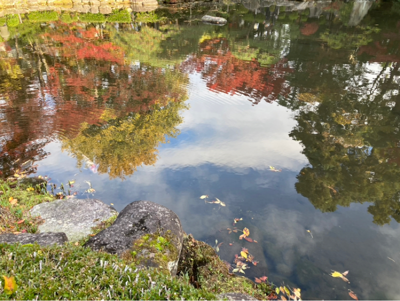 #717 ゼロから始めたSNSの波紋