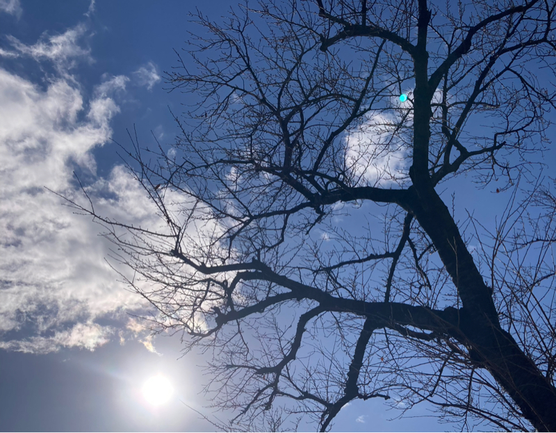 #723 今年はメニューの写真と違う店には行かない