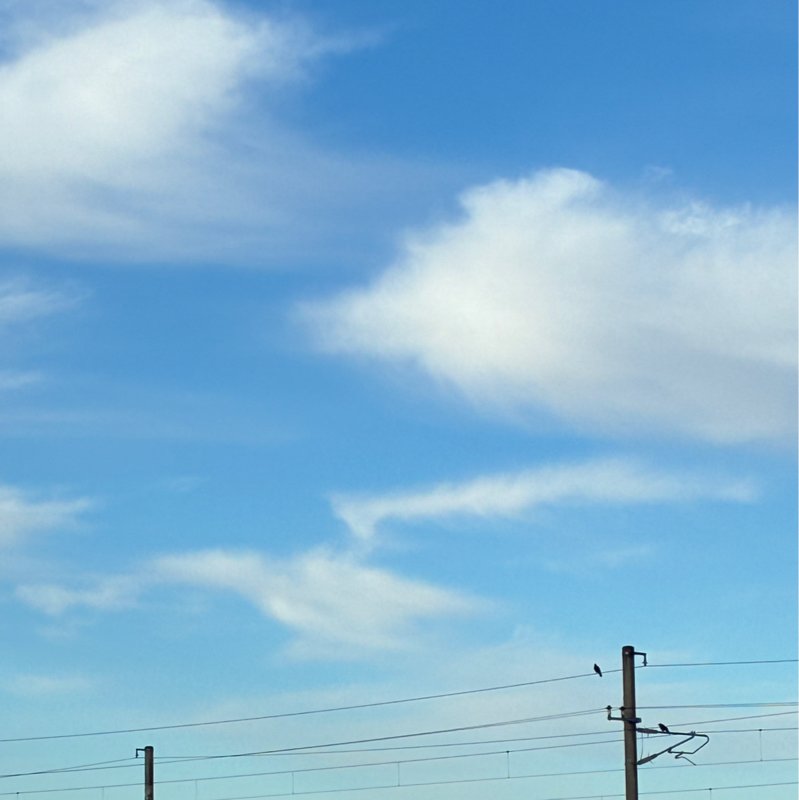 #731 今まで語られなかったうちの次女