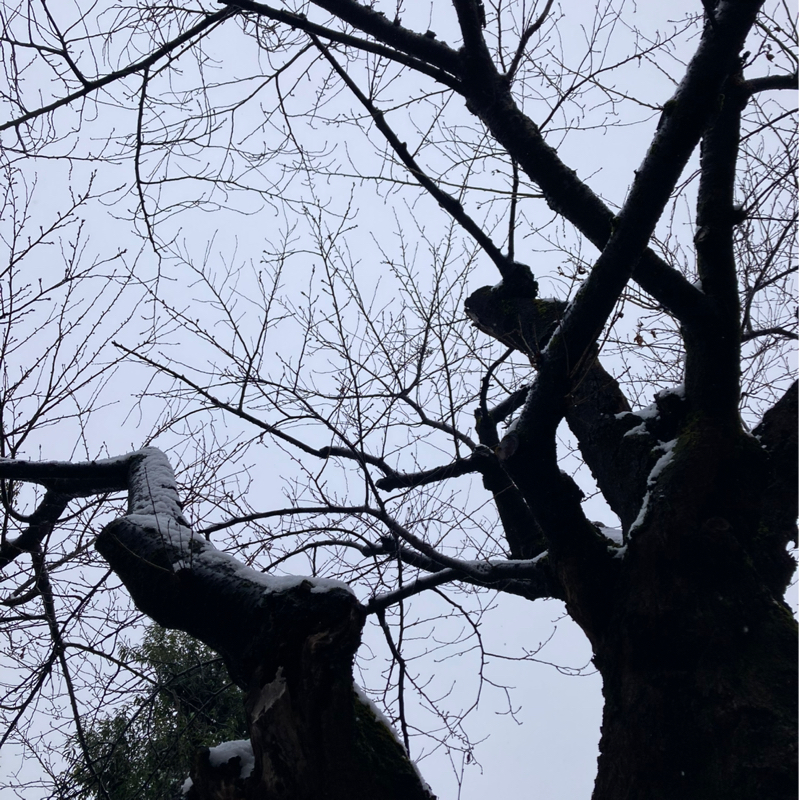 #735 都会かぶれ