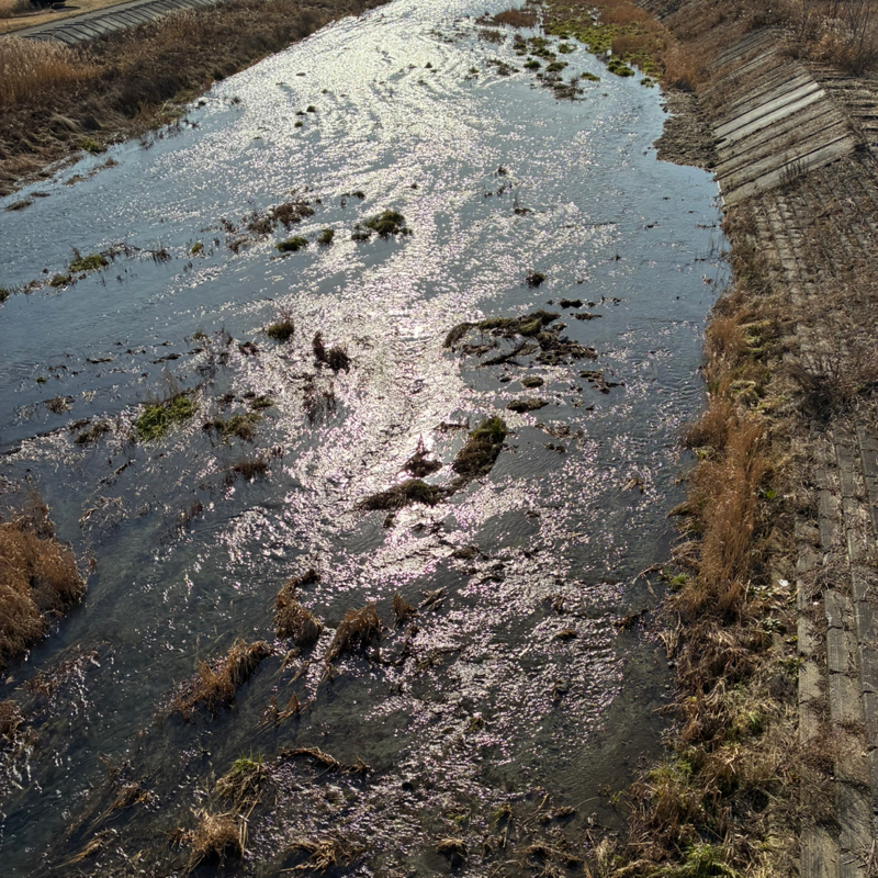 #738 お受験というおかしげなシステム