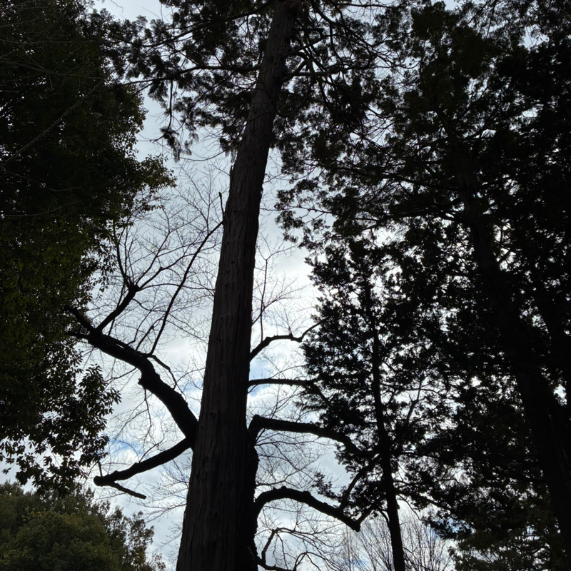 #741 さらば私の愛したラーメン屋🍜