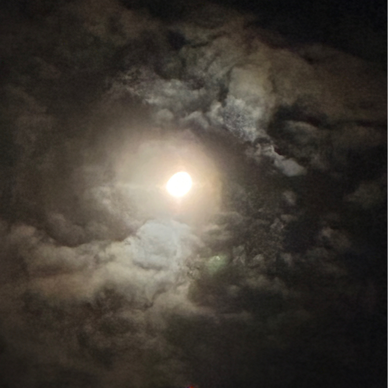 #742 ラジオから元気をもらった日のこと