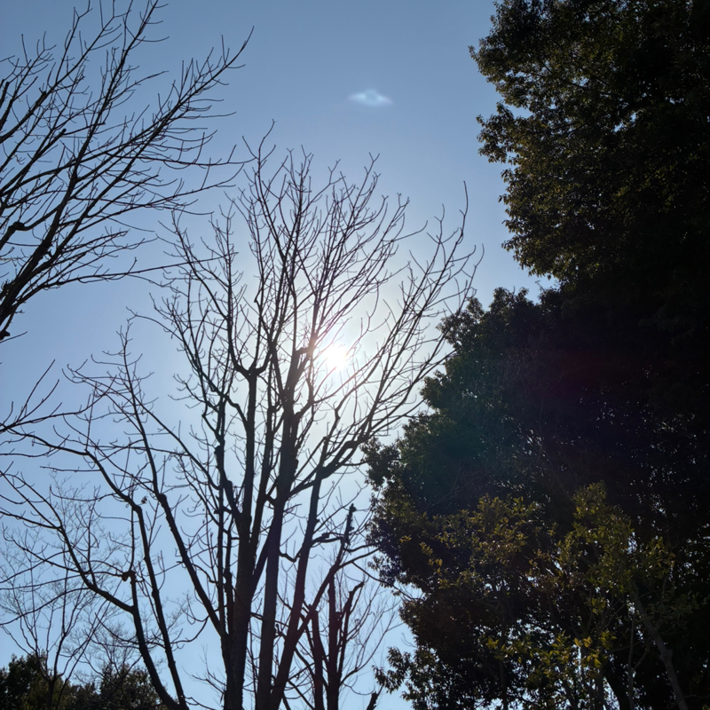 #745 学生時代に漫画雑誌を描いていた話