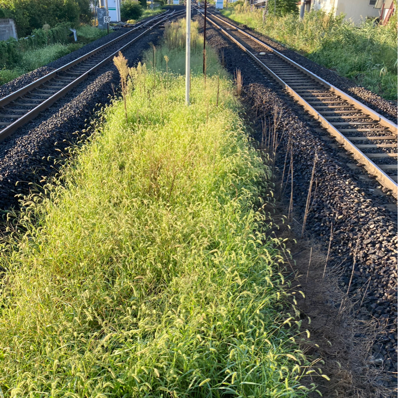 #747 さよなら全てのエヴァンゲリオンじゃねーよ