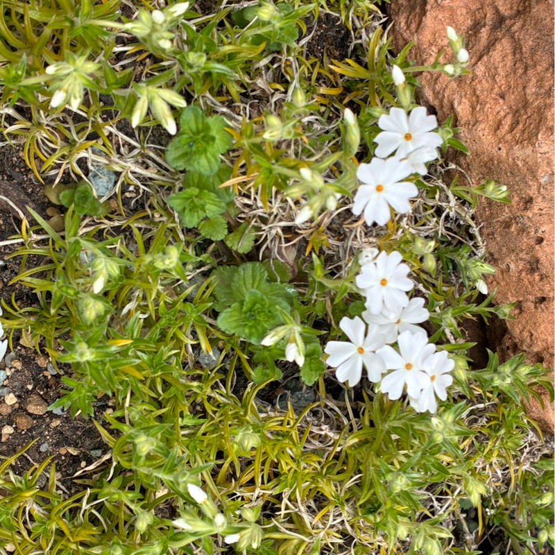 #753 うまくいかないことには理由がある