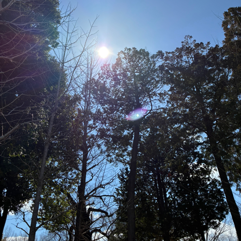 #754 YouTuberは何歳まで子どもをダシにするのか　おたより読みます