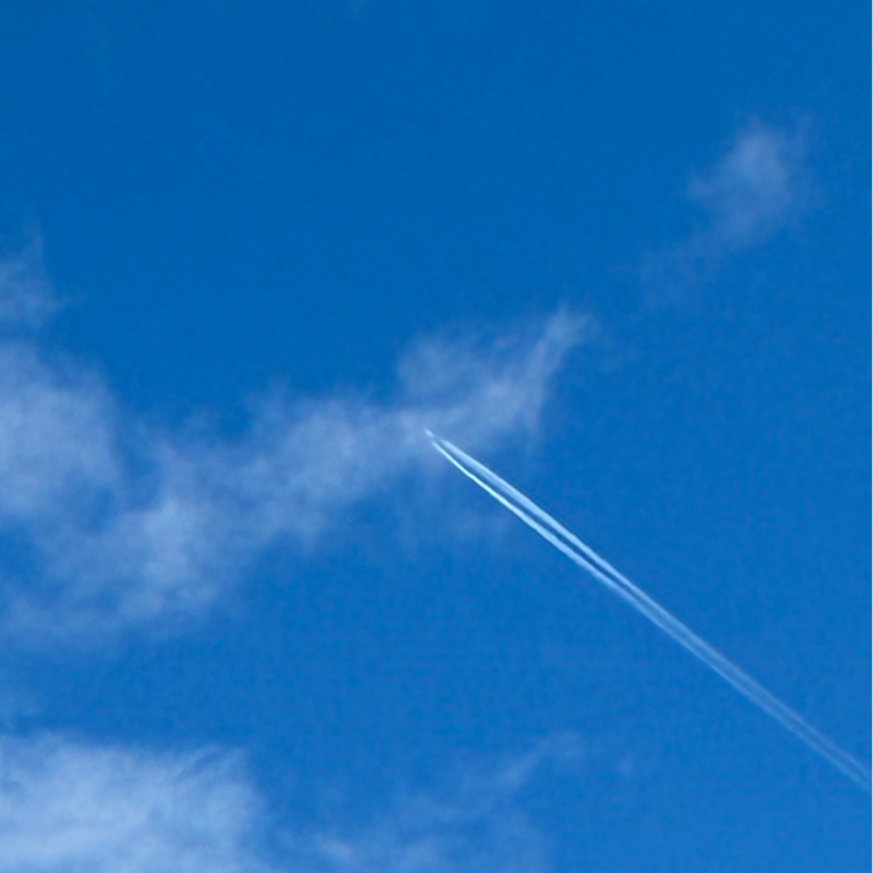 #755 エンディングノートは破り捨てました