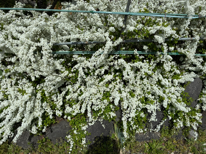 #756 我慢しながらまで付き合いたくない