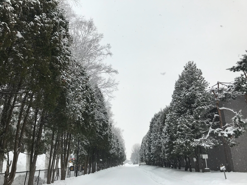 テストを兼ねたイメソン語り