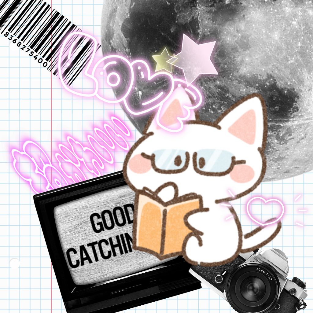 あねこ