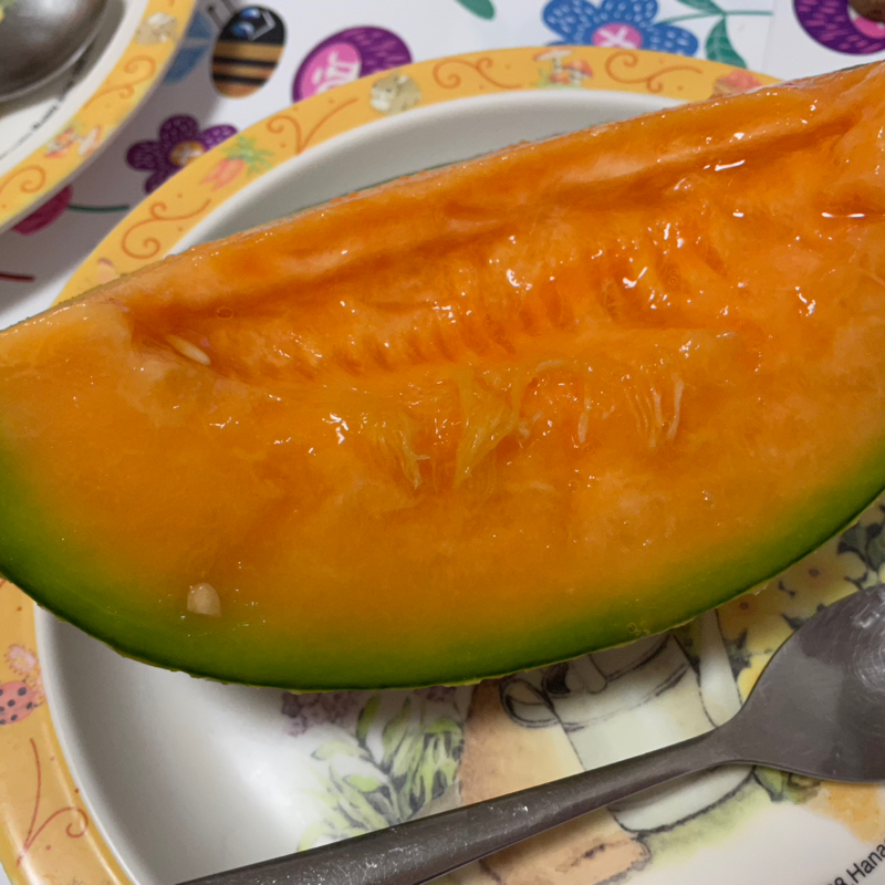 【第一回】食べ物雑談　果物編