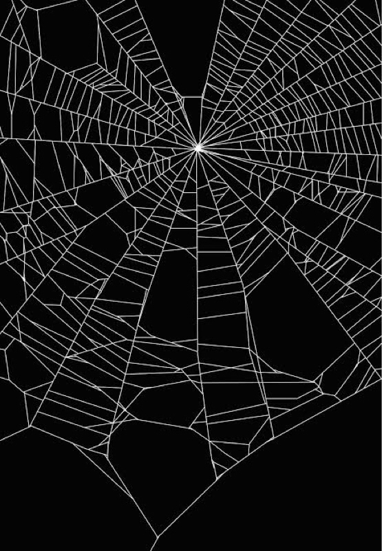 #18 蜘蛛の養殖がビジネス？