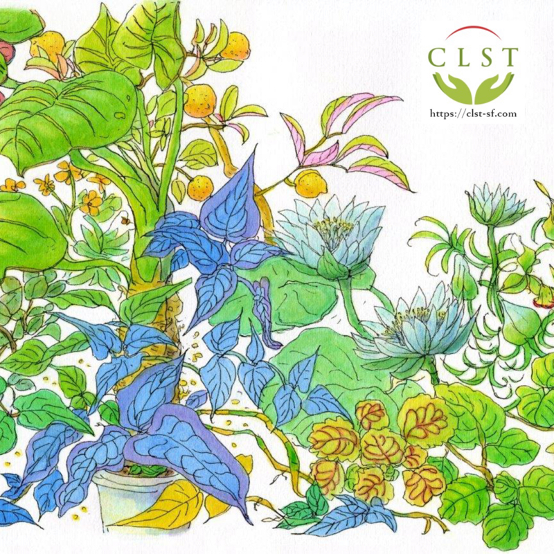 好奇心に負け怪我をした私は何を望んだのか