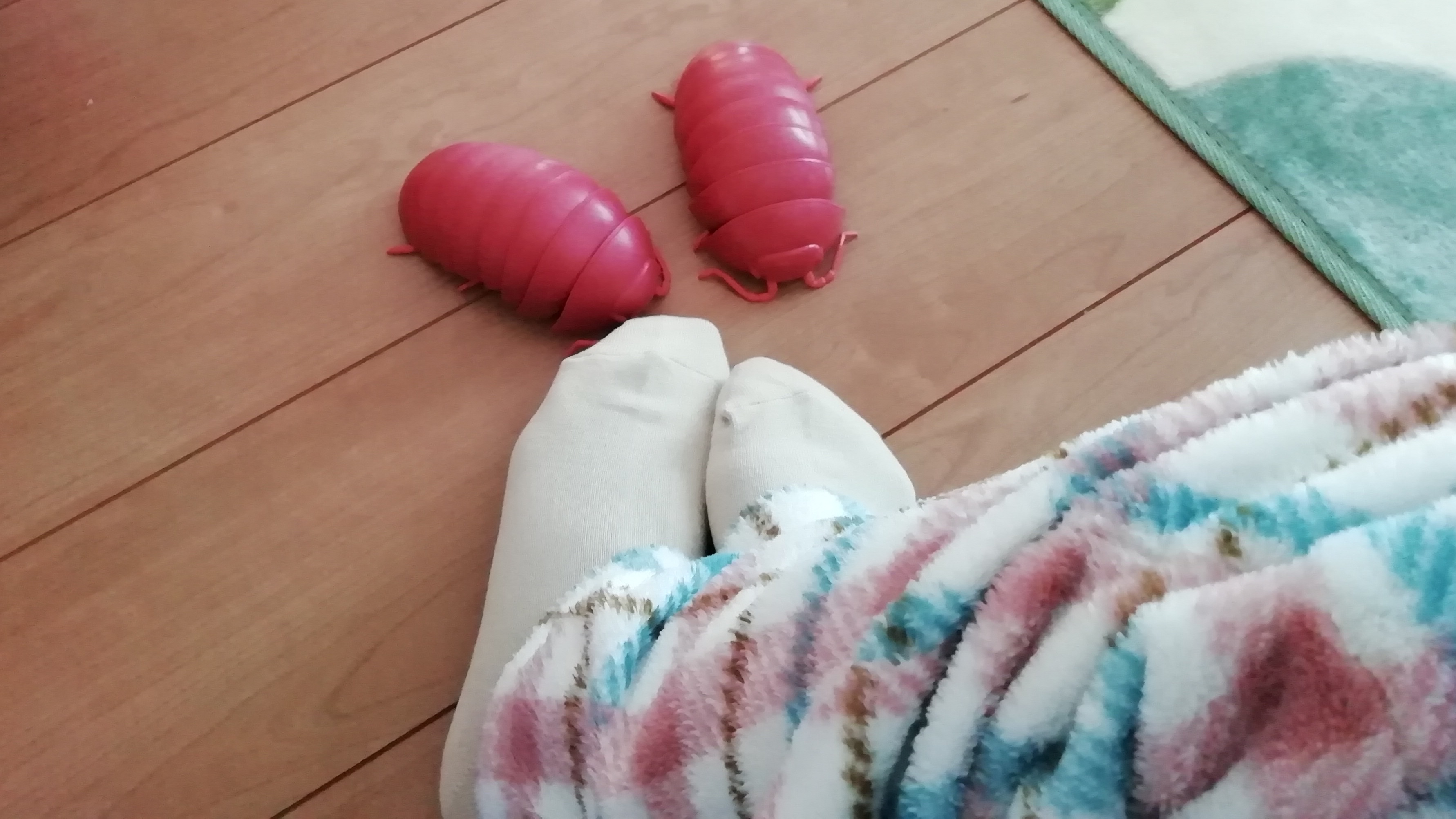 2019/02/13　そのいち