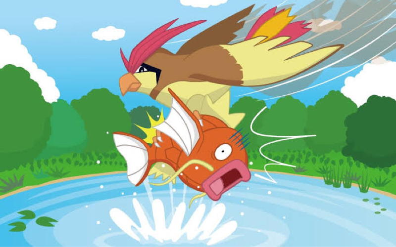 #13 ミラ小松と不落樽モトシマのポケモンゲートだぜ‼️ 【コイキング回】