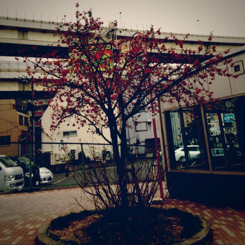 08.ミリオと環と卒業式