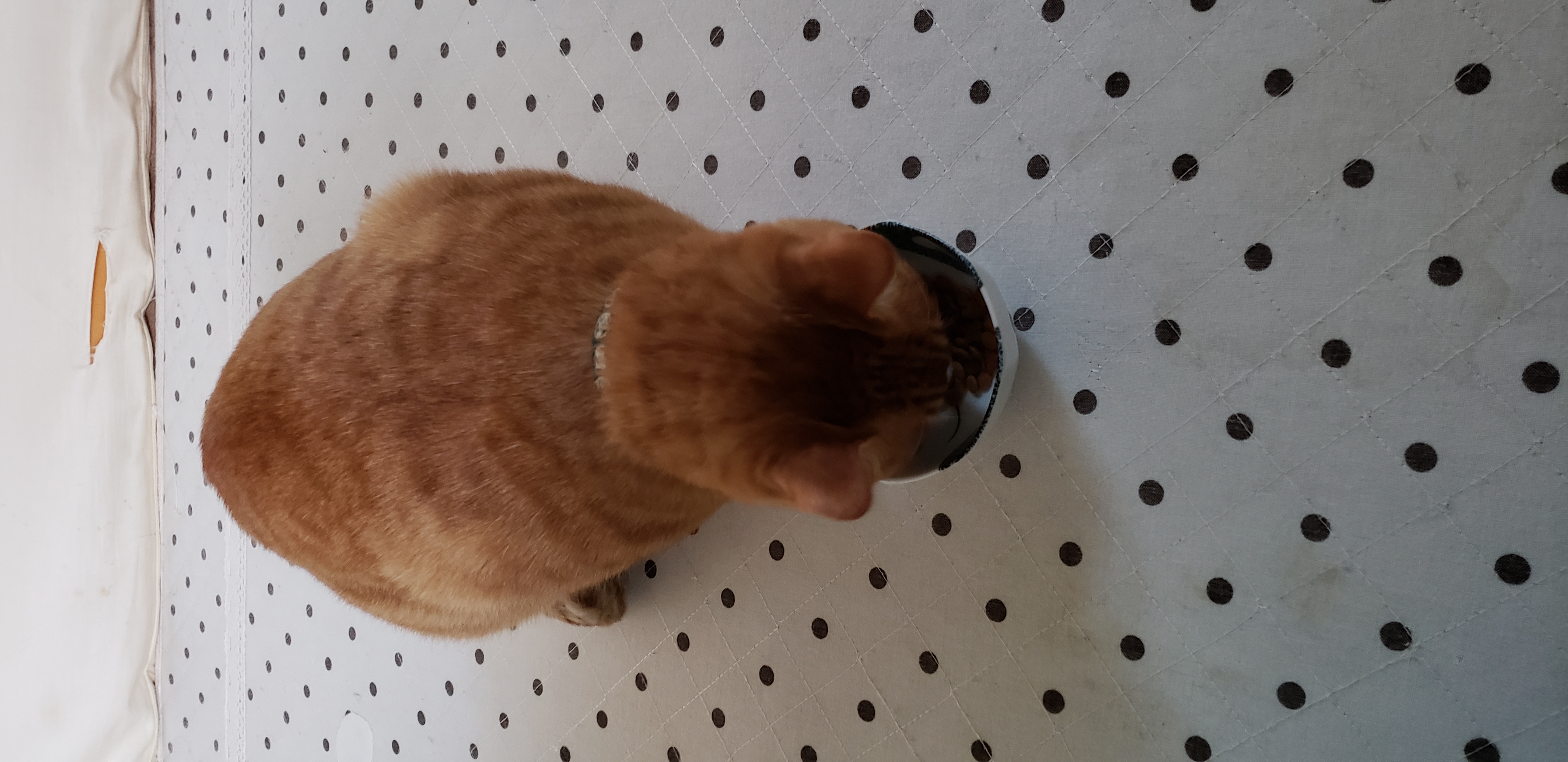 はじめまして雑談です