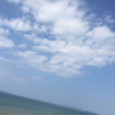 いろいろとお試し