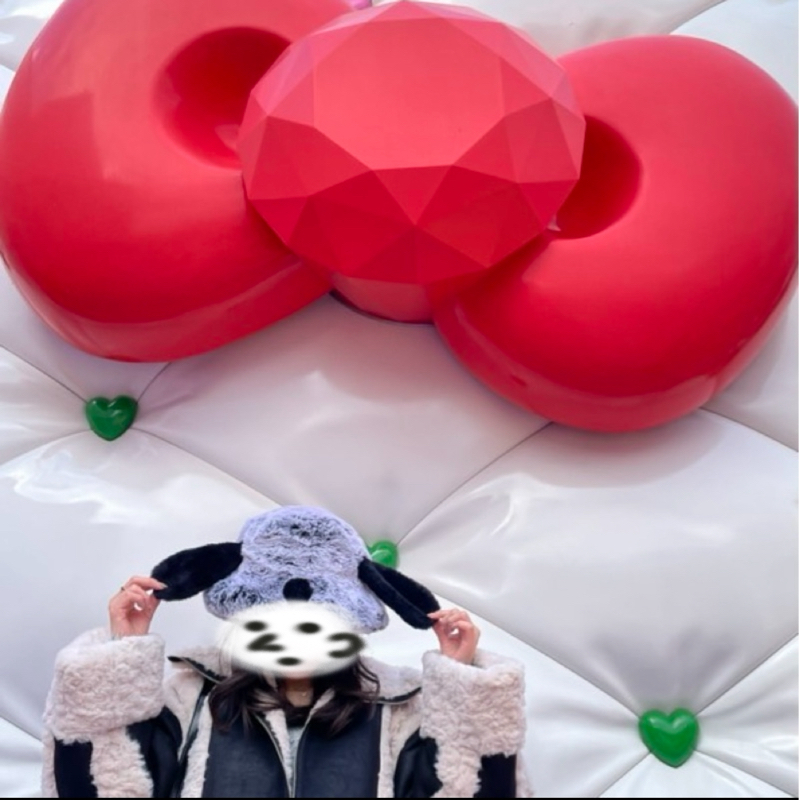 ぬこ様の番組