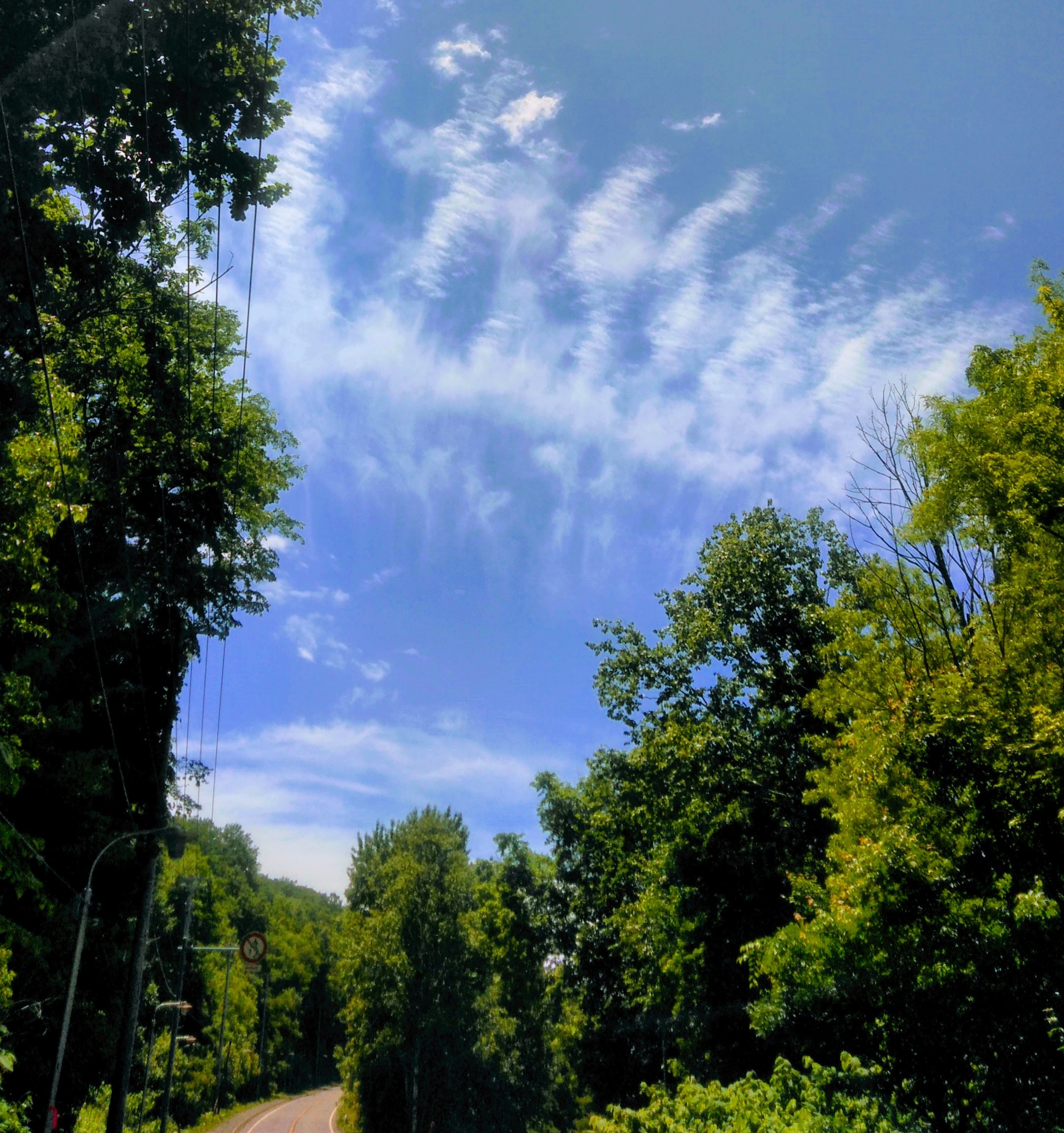 久しぶりの配信