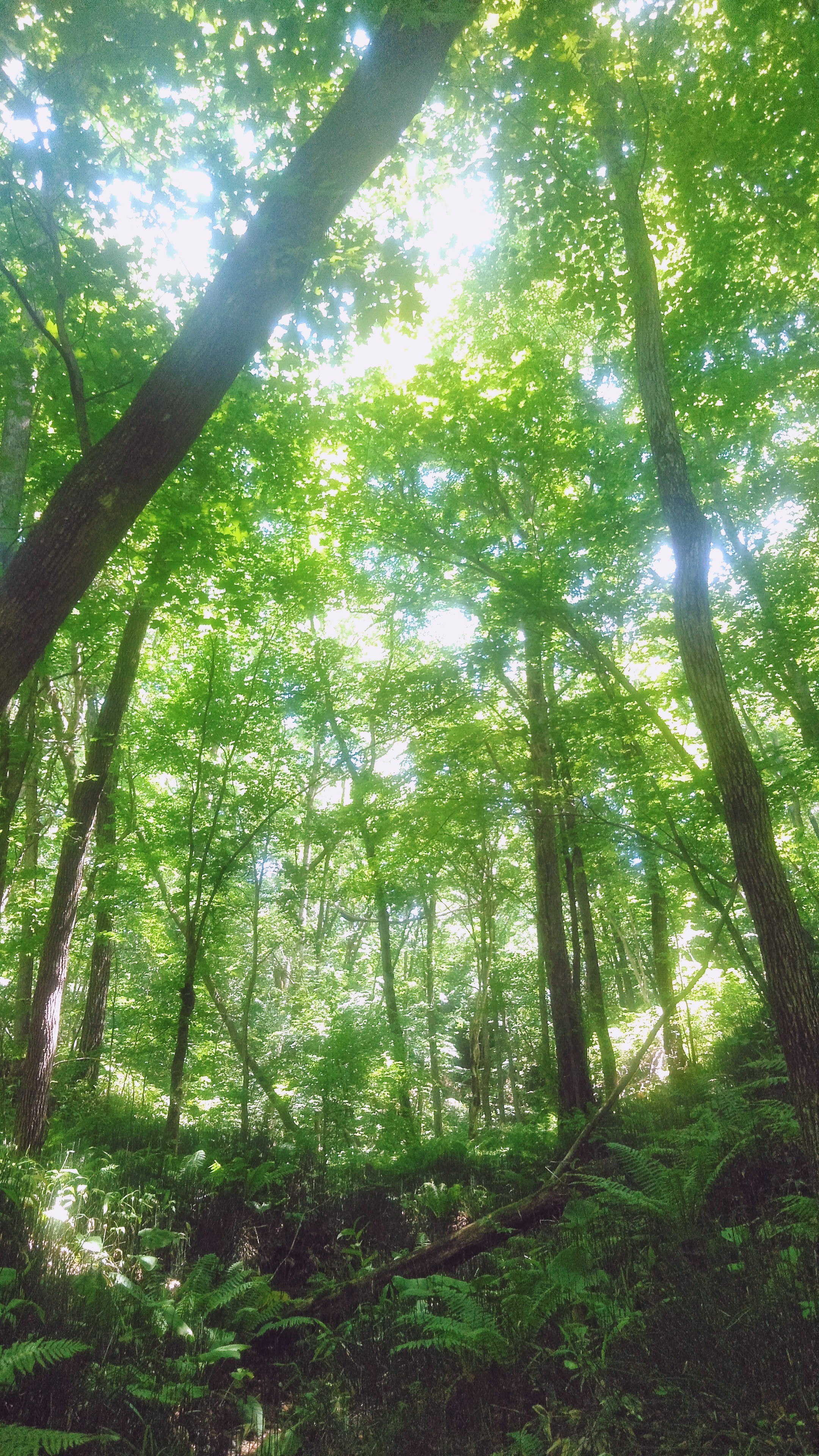 100年後の世界て？