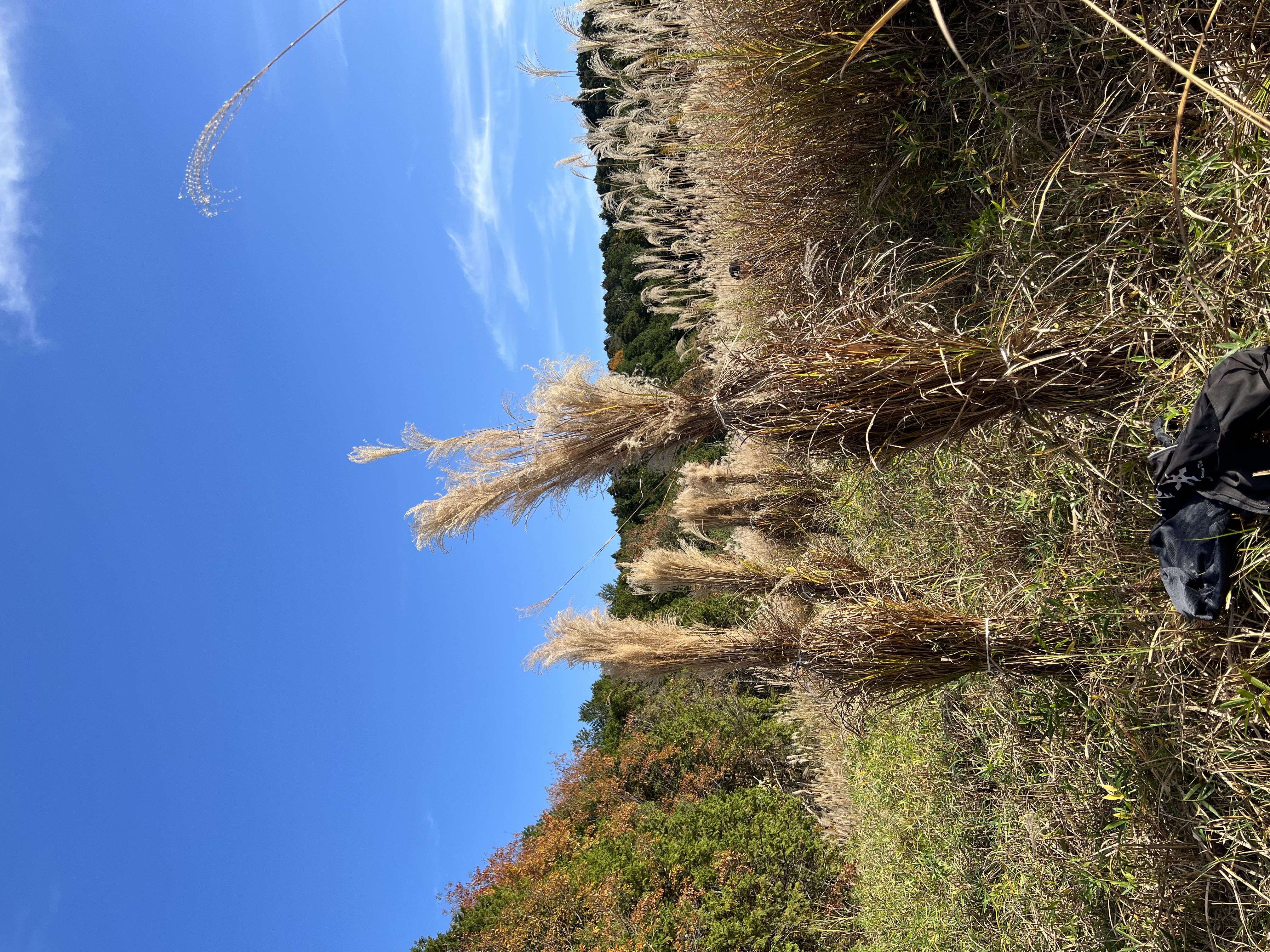 #52『バトルフィールド』