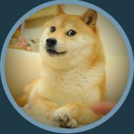 シュレ犬