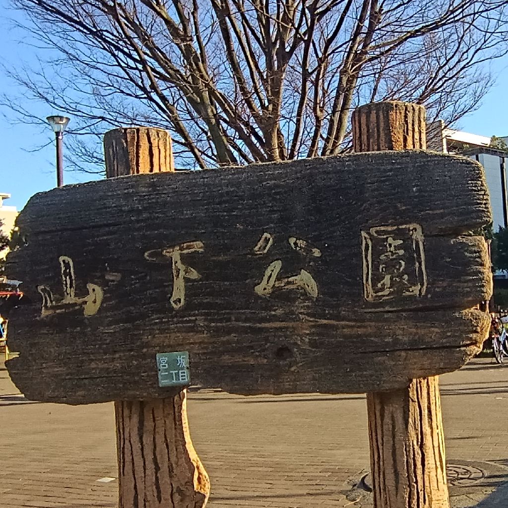 公園でラジオゴー